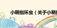 小鞘指環蟲(關于小鞘指環蟲簡介)