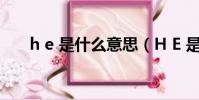 h e 是什么意思(H E 是什么的縮寫)