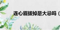 連心眉拔掉是大忌嗎(連心博客)