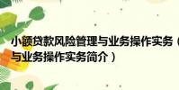 小額貸款風險管理與業務操作實務(關于小額貸款風險管理與業務操作實務簡介)