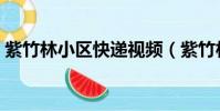 紫竹林小區快遞視頻(紫竹林小區快遞小說)