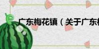 廣東梅花鎮(關于廣東梅花鎮介紹)