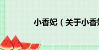 小香妃(關于小香妃簡介)