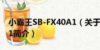 小霸王SB-FX40A1(關于小霸王SB-FX40A1簡介)
