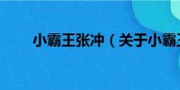 小霸王張沖(關于小霸王張沖簡介)