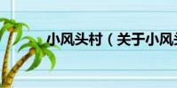 小風頭村(關于小風頭村簡介)
