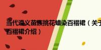 當代遵義苗族挑花蠟染百褶裙(關于當代遵義苗族挑花蠟染百褶裙介紹)