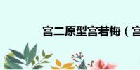 宮二原型宮若梅(宮二原型)