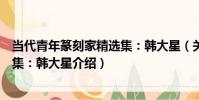當代青年篆刻家精選集:韓大星(關于當代青年篆刻家精選集:韓大星介紹)