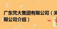 廣東梵大集團有限公司(關于廣東梵大集團有限公司介紹)
