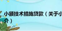 小額技術措施貸款(關于小額技術措施貸款簡介)