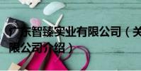 廣東智臻實業有限公司(關于廣東智臻實業有限公司介紹)
