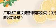 廣東格蘭堂投資咨詢有限公司(關于廣東格蘭堂投資咨詢有限公司介紹)