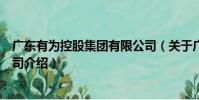 廣東有為控股集團有限公司(關于廣東有為控股集團有限公司介紹)