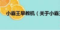 小霸王早教機(關于小霸王早教機簡介)