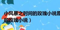 小風暴之時間的玫瑰小說原著(小風暴之時間的玫瑰小說)