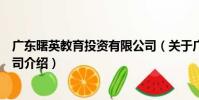 廣東曙英教育投資有限公司(關于廣東曙英教育投資有限公司介紹)