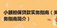 小額擔保貸款實務指南(關于小額擔保貸款實務指南簡介)