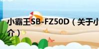 小霸王SB-FZ50D(關于小霸王SB-FZ50D簡介)