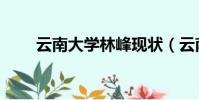 云南大學林峰現狀(云南大學夜大)