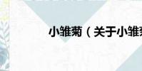 小雛菊(關于小雛菊簡介)