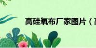 高硅氧布廠家圖片(高硅氧布)
