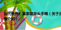 當代貴州亻革家銀龍頭手鐲(關于當代貴州亻革家銀龍頭手鐲介紹)