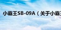 小霸王SB-09A(關于小霸王SB-09A簡介)