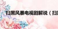 掃黑風暴電視劇解說(掃黑風暴不播了)