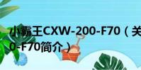 小霸王CXW-200-F70(關于小霸王CXW-200-F70簡介)
