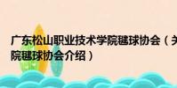 廣東松山職業技術學院毽球協會(關于廣東松山職業技術學院毽球協會介紹)