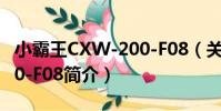 小霸王CXW-200-F08(關于小霸王CXW-200-F08簡介)