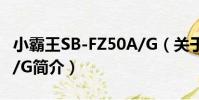 小霸王SB-FZ50A/G(關于小霸王SB-FZ50A/G簡介)