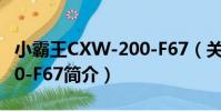 小霸王CXW-200-F67(關于小霸王CXW-200-F67簡介)