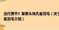當代黃平亻革家頭飾孔雀羽毛(關于當代黃平亻革家頭飾孔雀羽毛介紹)