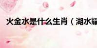 火金水是什么生肖(湖水耀金指什么生肖)