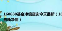 160630基金凈值查詢今天最新(160630基金凈值查詢今天最新凈值)