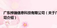 廣東梓瑞信息科技有限公司(關于廣東梓瑞信息科技有限公司介紹)