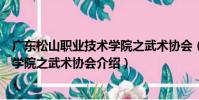 廣東松山職業技術學院之武術協會(關于廣東松山職業技術學院之武術協會介紹)