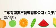 廣東有里資產管理有限公司(關于廣東有里資產管理有限公司介紹)