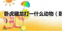 臥虎藏龍打一什么動物(臥虎藏龍打一個生肖)