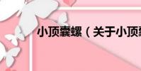 小頂囊螺(關于小頂囊螺簡介)
