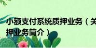 小額支付系統質押業務(關于小額支付系統質押業務簡介)
