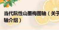 當代阮性山墨梅圖軸(關于當代阮性山墨梅圖軸介紹)