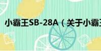 小霸王SB-28A(關于小霸王SB-28A簡介)