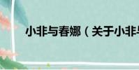 小非與春娜(關于小非與春娜簡介)