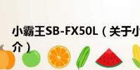小霸王SB-FX50L(關于小霸王SB-FX50L簡介)