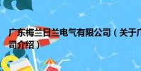 廣東梅蘭日蘭電氣有限公司(關于廣東梅蘭日蘭電氣有限公司介紹)