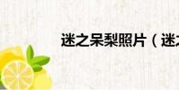 迷之呆梨照片(迷之傳說)