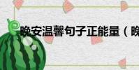 晚安溫馨句子正能量(晚安溫馨句子)
